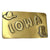 Rockmount Mens Vintage Iowa State Nickel Metal Belt Buckle
