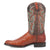 Dingo Mens Ranger Cognac Leather Ostrich Print Cowboy Boots