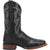 Dan Post Mens Alamosa Cowboy Boots Ostrich Black