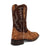 Dan Post Mens Leon Brass/Brown Caiman Cowboy Boots 10.5 D