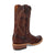 Dan Post Mens Boerne Cognac Leather Cowboy Boots 9 D