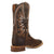 Dan Post Mens Boars Run Wild Rust Wild Boar 12in Cowboy Boots