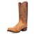 Dan Post Mens Marco Saddle FQ Ostrich 13in Cowboy Boots