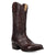 Dan Post Womens Rio Grande Chocolate Leather 13in Cowboy Boots