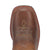 Dan Post Kids Girls Starr Brown Leather Cowboy Boots