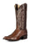 Horse Power Mens 13in Hot Rock Kango Full Quill Ostrich Cowboy Boots