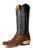 Horse Power Mens Kango Black Full Quill Ostrich Cowboy Boots