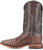 Justin Mens Rancher Kango Tobac Ostrich Skin George Strait Cowboy Boots 7.5 D