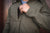 STS Ranchwear Youth Unisex Weston Olive Poly/Spandex Athletic Shell Jacket