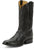 Tony Lama Mens Canonero 12in Western Jet Black Full Quill Ostrich Cowboy Boots
