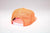 Kimes Ranch Unisex Yeakley Orange Foam Trucker Cap