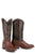 Stetson Mens Chocolate Leather Denver 13In Goat Cowboy Boots