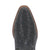 Dingo Womens Rhinestone Cowgirl Black Leather 7in Fashion Boots