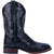 Dan Post Mens Black Kingsly 11in Cowboy Boots Caiman