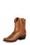 Miss Macie Bean Womens Toasted Leather Hashtag Not Basic Fashion Boots