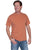 Scully Mens Red Rock 100% Cotton S/S T-Shirt